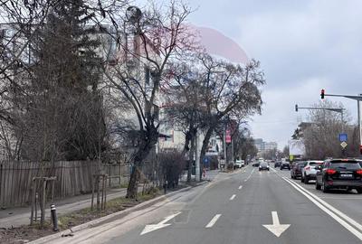 Teren pe Strada Jiului pentru dezvoltare rezidentiala/comerciala - 4