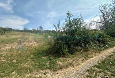 Teren intravilan de vanzare, la 1 min de str Gheorghe Doja, Saldabagiu de Munte - 4