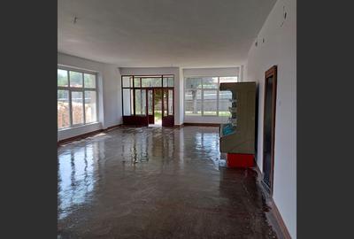 Spațiu comercial de inchiriat, la drum principal, localitatea Daia - 9