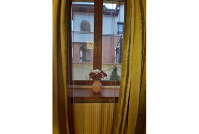 REV0017192 Piata Victoriei - VIla interbelica cu gradina - 3