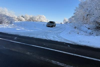 Teren intravilan 500 sau 1000 mp Bran-Tohanita la dum asfaltat - 14