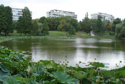 Lacul Tei - 3 Camere - Vedere Parcul Circului - Prima Chirie - 3