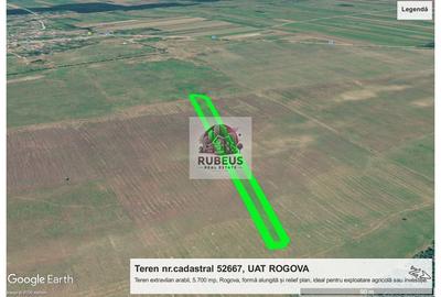 💎 BEST BUY AGRICOL: 1 HECTAR TEREN ROGOVA | CADUSTRU EFECTUAT | PREȚ - 3