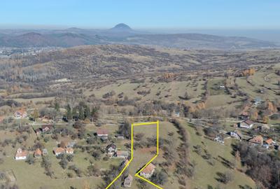 Teren intim si retras in Bran Predelut - 6