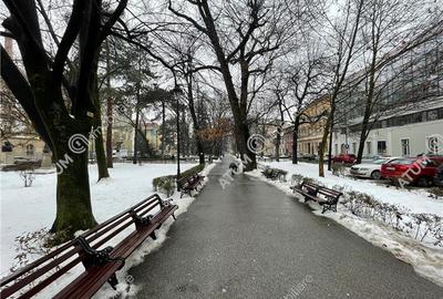 Spatiu comercial cu 2 intrari ultracentral Nicolae Balcescu din Sibiu - 3