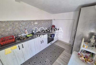 Vanzare casa P+1 cu teren de 769 mp si facilitati complete, str. Șisesti - 8