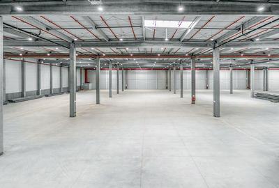 Hale industriale de închiriat în WDP Timișoara - 4
