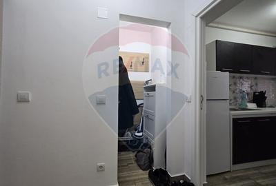DE VANZARE Apartament 2 camere RENOVAT 2024 - 24