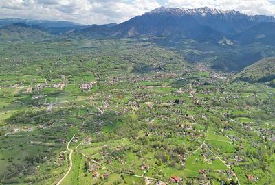 Teren intravilan Bran- Predelut - 10