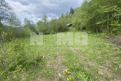 Teren Intravilan | Câmpulung Moldovenesc | 31ARI - 3