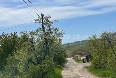 Teren intravilan Chicerea - Tomesti, 451mp cu acces auto si front stradal - 3