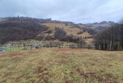 Teren Poiana Marului pretabil investitie 5 euro/mp - 1