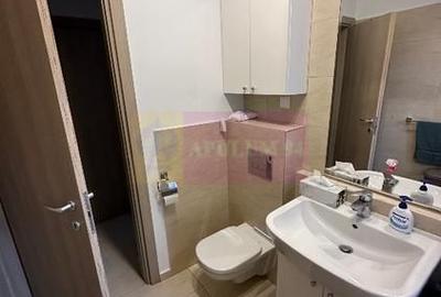 Apartament 2 camere Greenfield - 10