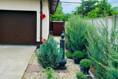 Vila Individuala Parter-Buftea - 1