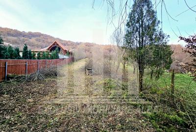 Teren intravilan | 2900 mp | 12.5 ml deschidere | Valea Popii - 2