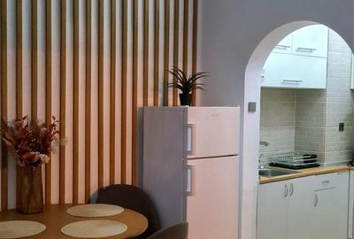 Apartament 2 camere  + Studio ULTRACENTRAL // Vasile Alecsandri - 9