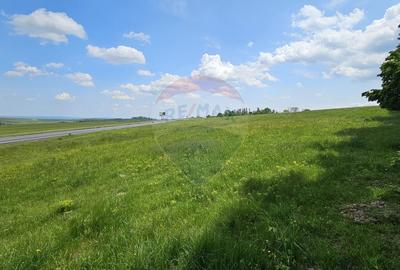 Teren Ilisesti  7000mp extravilan/ DN 17, Suceava - 14