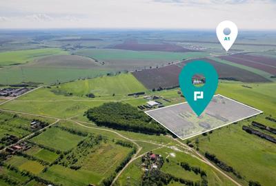 Teren de 69188 mp în Seceani - 1