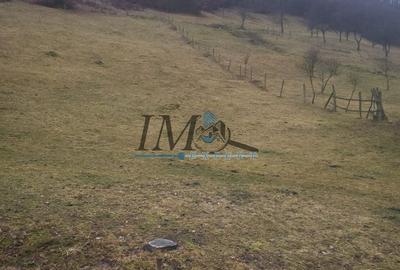 TEREN PENTRU CABANA PE VALEA TONII - 2