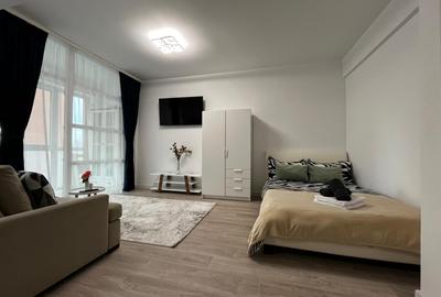 Apartament de inchiriat, o camera, Open space, 35 mp, Lunca Cetatuii - 8