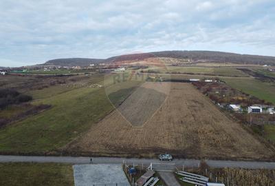 Teren 19.375 mp Dâmbu Rotund. Potențial rezidențial. Extravilan - 10