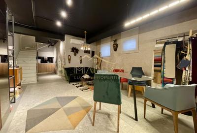 Duplex 3 camere//Birou*Cabinet**Showroom//DOMENII//PARTER+ Demisol - 2