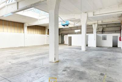 Hala industriala de inchiriat – 417 mp – zona centrala Arad - 5