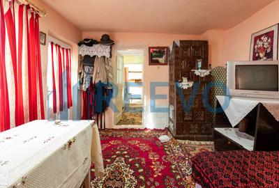 Casa si teren 3365mp Sascut - 21