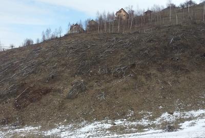 Moeciu, Drumul Carului, teren 3750 mp, 75000 euro - 6