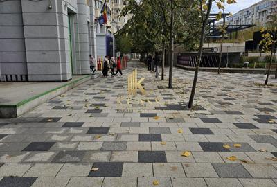 Spatiu comercial stradal - 96 mp - zona - Decebal - 2