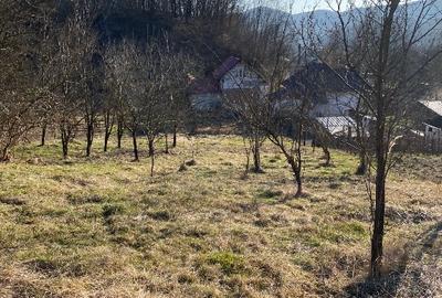 Oferta urgenta! Teren 2519 mp + constructie 68 mp — Pret atractiv - 8