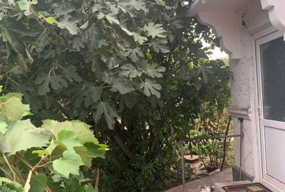 Casă individuală cu 6 camere în Voluntari