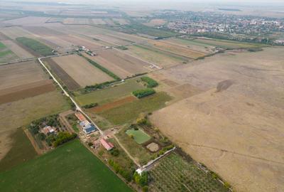 Teren 13.418 mp intravilan cu casă și 2 iazuri - 2