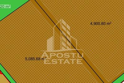 4900 MP ZONA MIXTA - servicii, productie, activitati complementare - 2