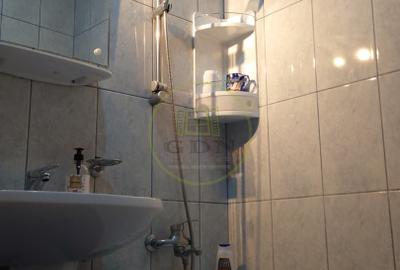 Casă Individuală de Închiriat – Lazaret / Lupeni – Garaj + Curte - 19