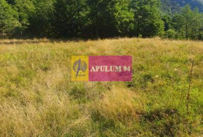 Teren Județul Vâlcea - Brezoi, Valea lui Stan - 30