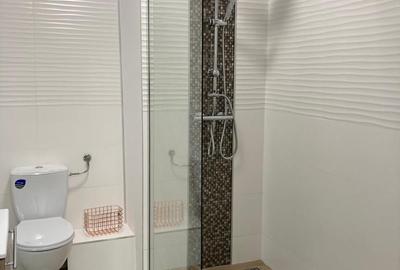 Ap. 2 camere de inchiriat, 46 mp, parcare, Wings Zorilor - 12