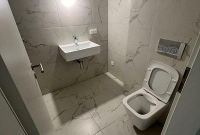 Apartament 3 camere-Openspace-Doamna Ghica - 11