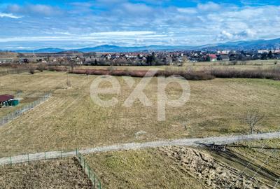 Teren 3.120 mp cu potențial de dezvoltare – Săcele | Posibilitate PUZ - 14