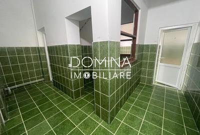 Vanzare spatiu comercial  P+1 *oportunitate de investitie* - Comuna Balanesti - 5
