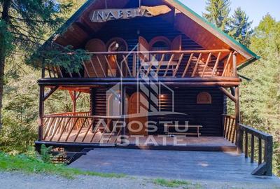 Pensiune, casa de vacanta, 6 camere, statiunea Rausor din Hunedoara - 26