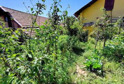 Casa unifamiliala 120 mp utili,  cu 477 mp teren, garaj, Dambul Rotund - 18
