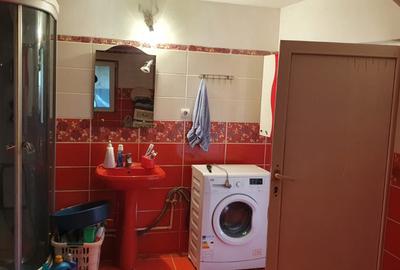 Casă / Pensiune de vânzare – Balta, Gorj - 13