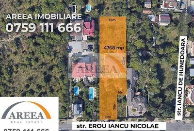 Teren Construcții intravilan de 4768 mp, în Iancu Nicolae