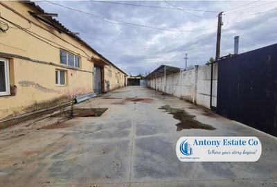 Antony Estate | Hala, Spatiu Depozit de Vanzare, Palota - Bihor - 9
