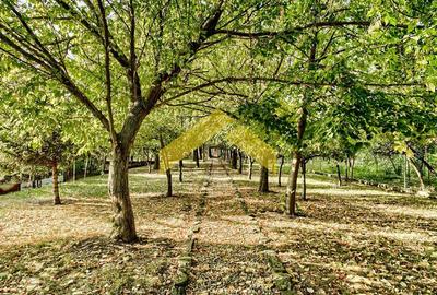 Casa de vinzare zona Gradiste - 14