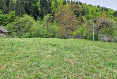 Teren intravilan 2936 mp. Bistrița jud Neamt - 3