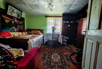 Casa ultracentral in Saliste cu un teren generos de 1757 mp - 11