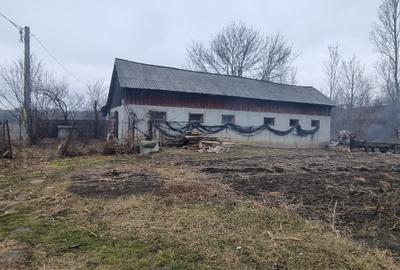 Terenuri intravilane la Stancesti si teren cu constructie - 2