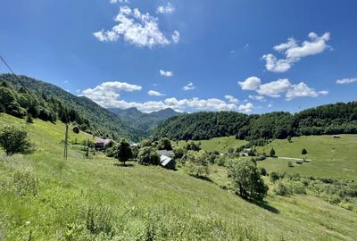 Teren cu vedere panoramică de vânzare | Podu Dâmboviței, Comuna Dâmbovicioara - 4